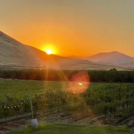 Sequoia View Vineyard Bed & Breakfast Sanger ภายนอก รูปภาพ